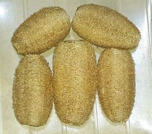 Natural Loofah Sponges (Set of 5)