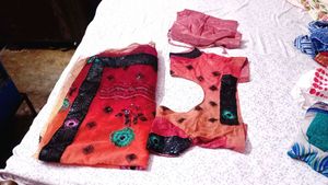 combo pack of 2saree blouse