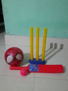 want to sell beautiful bat and ball