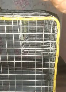 New Bird Cage