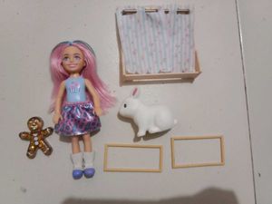 Barbie Chelsea Doll & Accessories