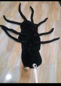 Black dog size