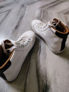 White Gucci High Top Sneakers For Men &amp; Women