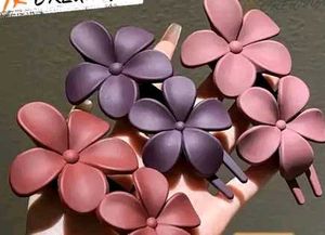 pack of 3 hair clip &amp; claw