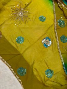 Gorgeous Embellished Saree - Unique Design