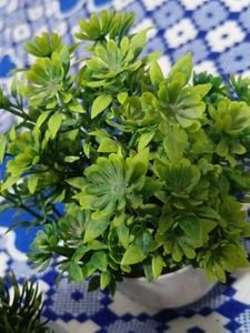 Artificial Green Plant in White Pot