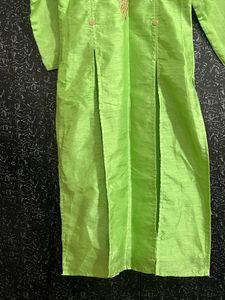 Parrot Green