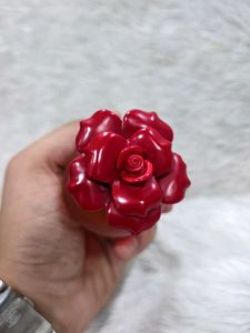 Dolce &amp; Gabbana Rosa Excels For Women