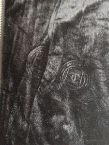 Stylish Black Velvet Jacket