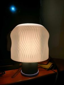 Modern Table Lamp with Unique Shade