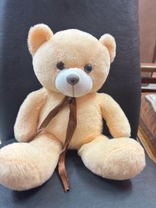 Cute Plush Teddy Bear