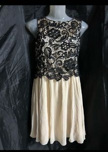 Elegant Lace Overlay Dress