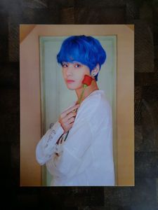 Large Peel N Stick Poster Of All BTS Members With