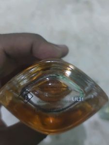 Bentley For Men Intense