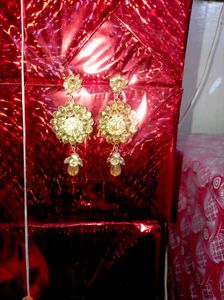Exquisite Dangle Earrings with Crystals