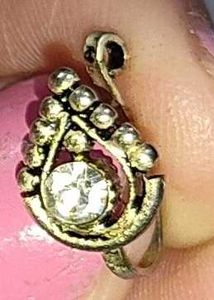 Sparkling Silver nose Ring