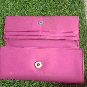 Purse/ Clutch