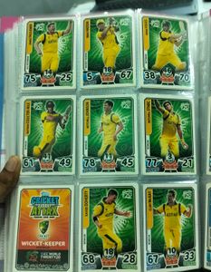 T 20 World Cup 2014 Team Australia