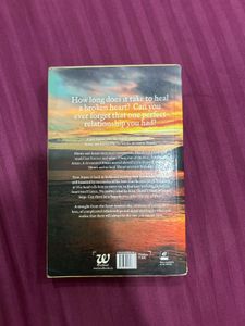 The One You Cannot Have by Preeti Shenoy