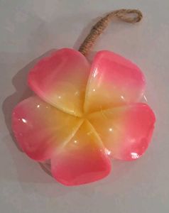 Most Beautiful Floral Soaps Imported buy