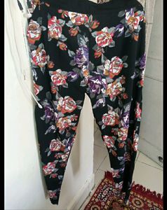 Pant / Trouser