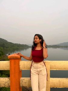 Stylish Maroon Crop Top sleeveless