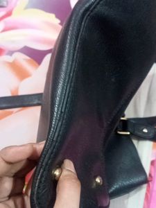 Satya Paul Bag