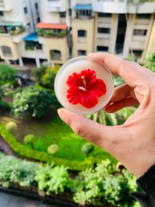 4 pcs jumbo hibiscus candle