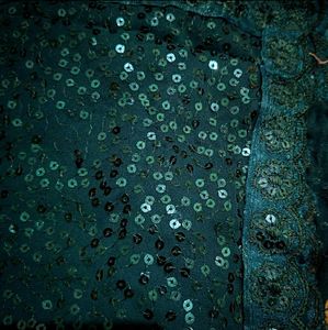 Designer Overall Sequence Saree 🫰