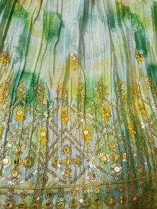 Embellished Indian Lehenga Choli Set