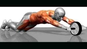 Lycan AB Roller for Instant Effect on Tummy