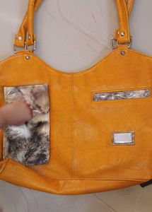 Combo Of 3 Cute Bear Backpack