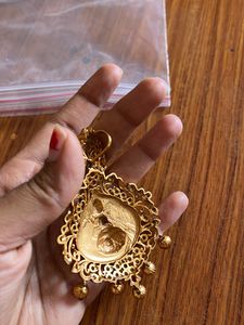 Earrings With Dollar