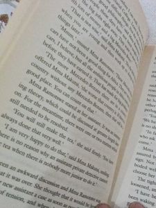 Tears of the Giraffe Book