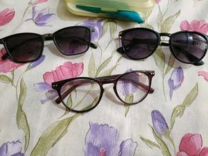 Eyeglasses and Sunglasses Bundle