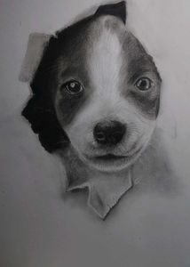 Cute Puppy Pencil Sketch