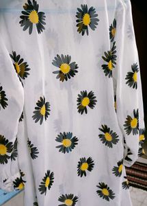 Trendy Ravishing Women shirts