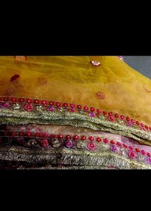 Beautiful Embroidered Lehenga Choli