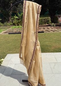 Elegant Golden saree with Embellished Border