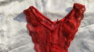 Sheer Lace Red Briefs