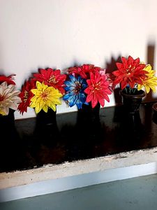 4 Showcase Flowers