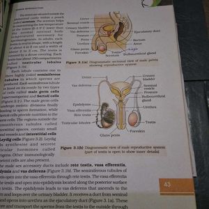 Biology Textbook for Class XI, XII