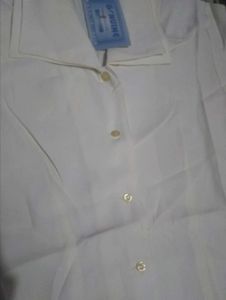 Elegant Cream Blouse