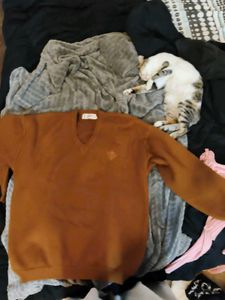 Cozy V-Neck Knit Woolen Sweater