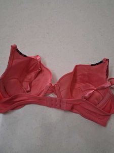 36C Coral Lace Trim Bra