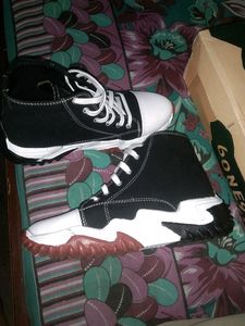 Casual Shoes