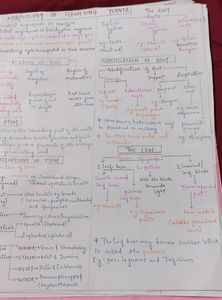 Handwritten Notes Neet Ug