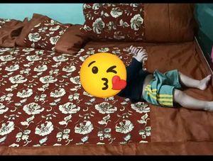 brown bedding set 8 prices