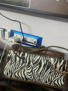 Stylish Zebra Print Shoulder Bag