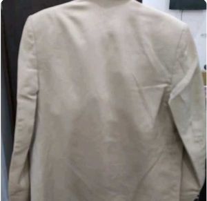 Beige Men Suit